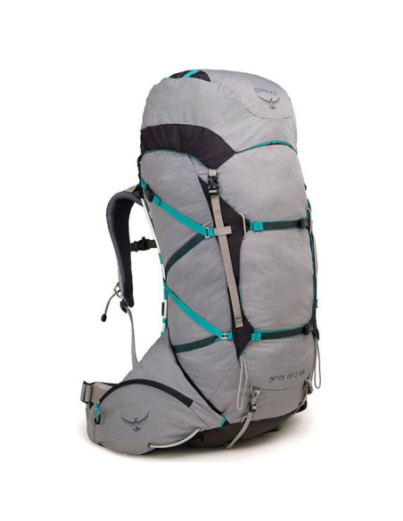 Osprey Ariel Pro 65 W
