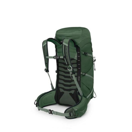 Rugzak Osprey 33 Green Canopy/Pine Leaf 2