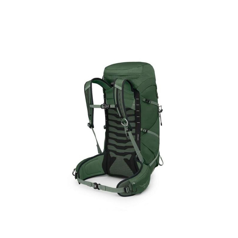 Batoh na záda Osprey 33 Green Canopy/Pine Leaf