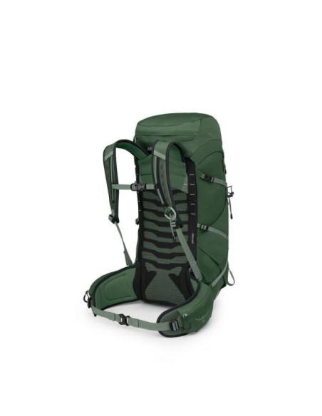 Batoh na záda Osprey 33 Green Canopy/Pine Leaf