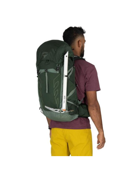 Nahrbtnik Osprey 33 Green Canopy/Pine Leaf