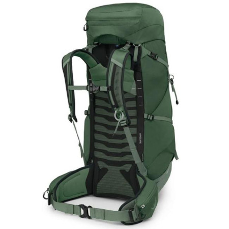 Rygsæk Osprey TALON 44 Green Canopy/Pine Leaf 2