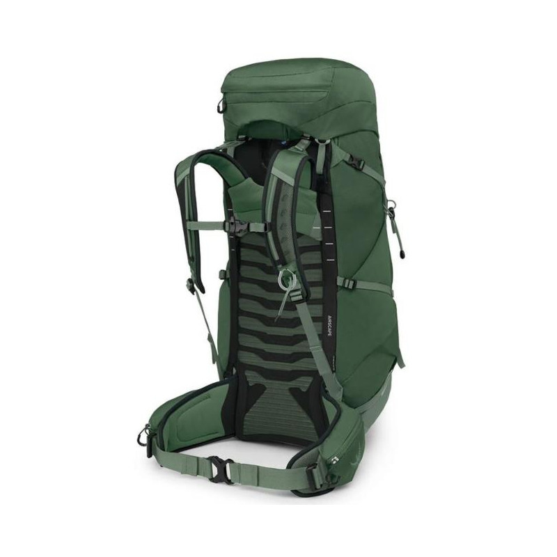 Rugzak Osprey TALON 44 Green Canopy/Pine Leaf