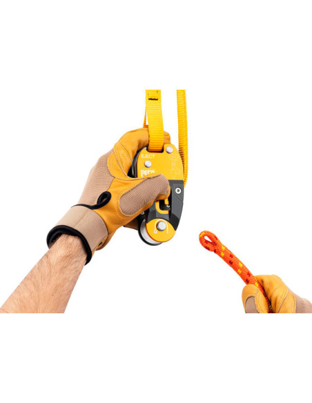 Petzl Eject
