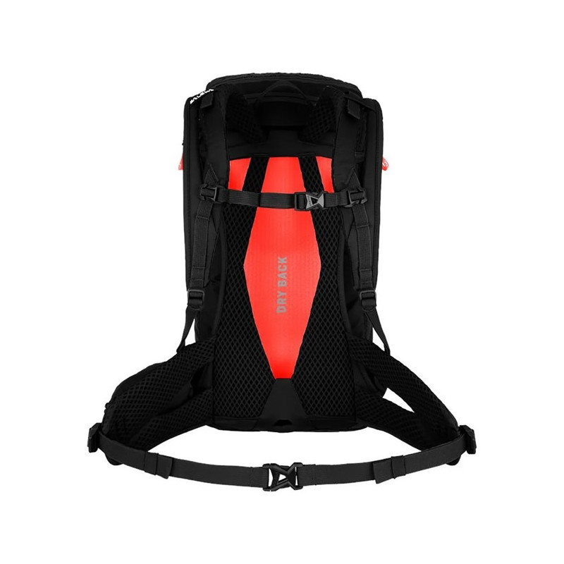 Rygsæk Salewa Alp Trainer 20 WS