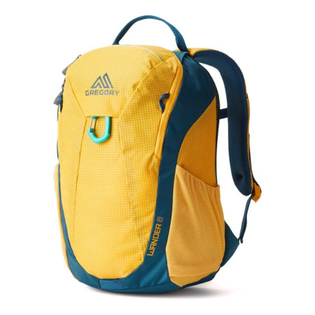 Batoh Gregory WANDER 8 Aqua Yellow
