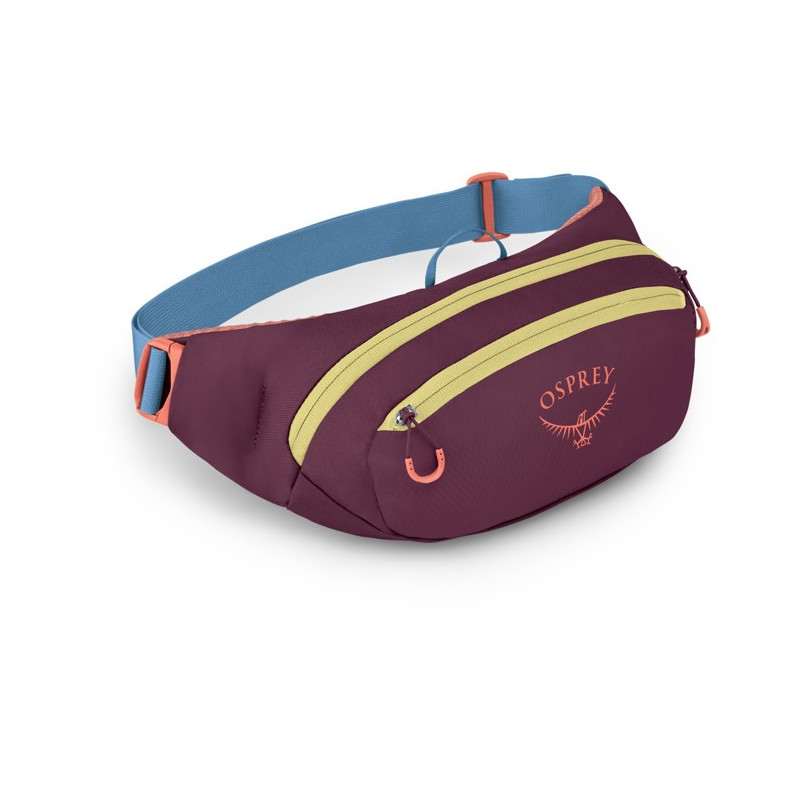 Ledvinka Osprey Daylite Waist