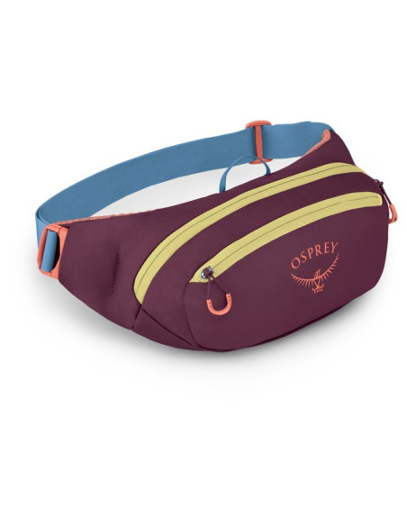 Ledvinka Osprey Daylite Waist