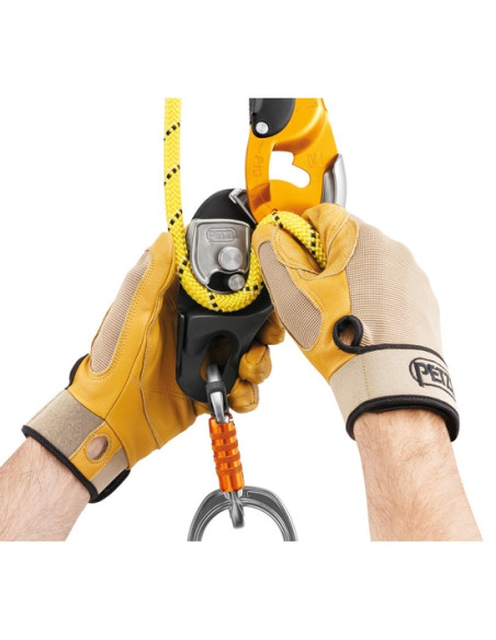 Petzl Rig