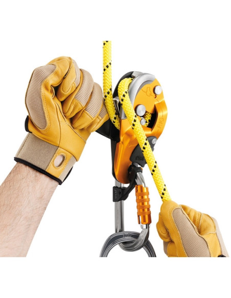 Petzl Rig