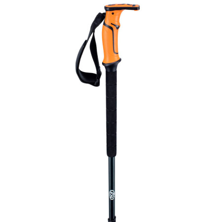 Lazdos Bca Scepter Aluminium Poles 2
