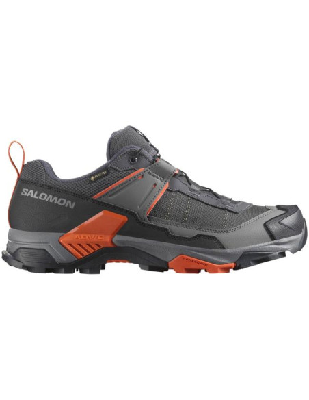 Salomon X Ultra 5 Gtx