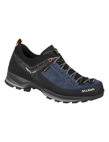 Salewa MS MTN TRAINER 2 GTX Blue Seal/Black