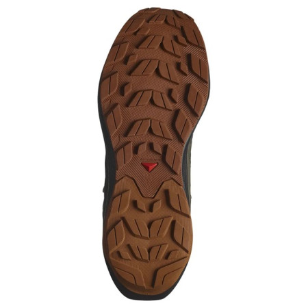 Sapatos de caminhada Salomon Elixir Activ Mid GTX Peat/Black/C 2