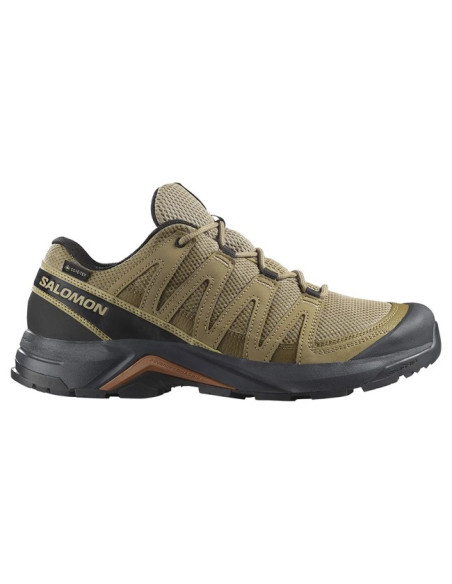 Wandelschoenen Salomon X-ADVENTURE RECON GTX Kelp/Kelp/S