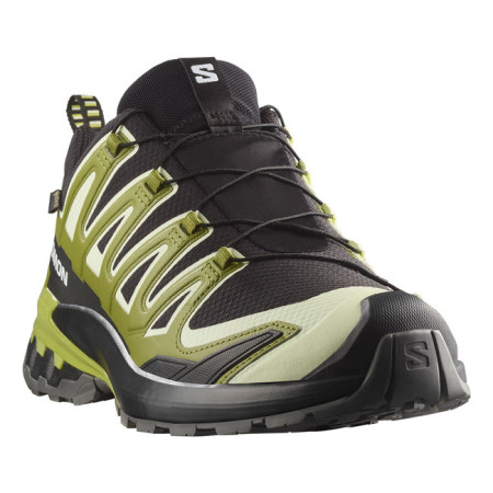 Wandelschoenen Salomon XA PRO 3D V9 GTX Black/Lime C/Cit