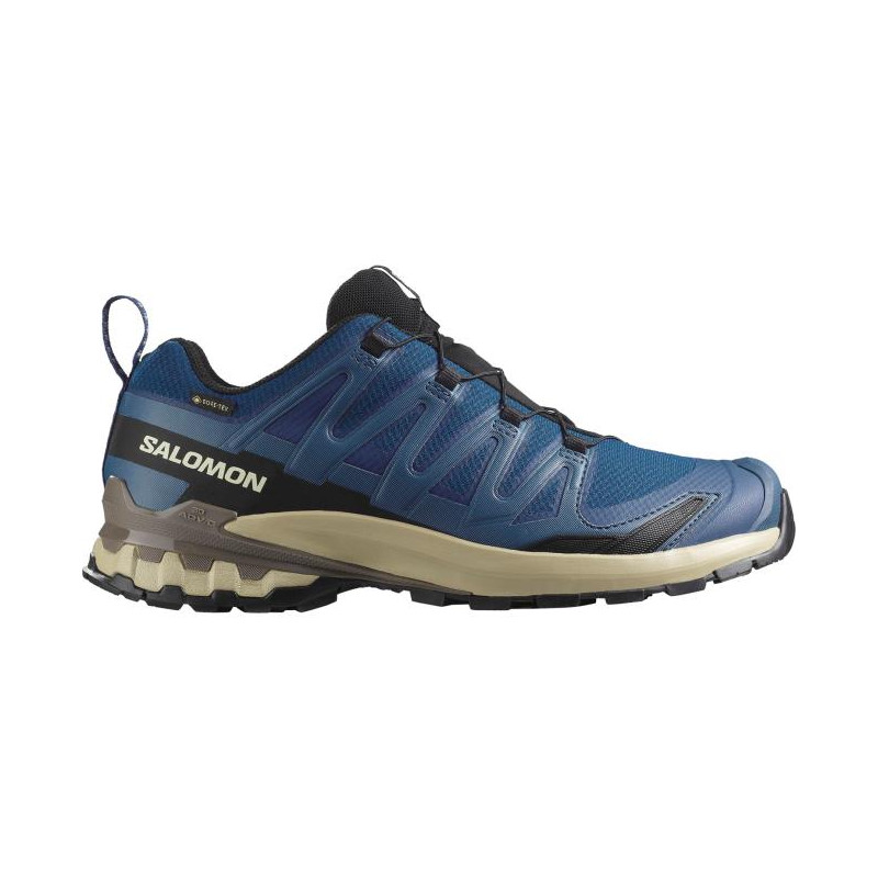 Salomon Xa Pro 3D V9 Gtx