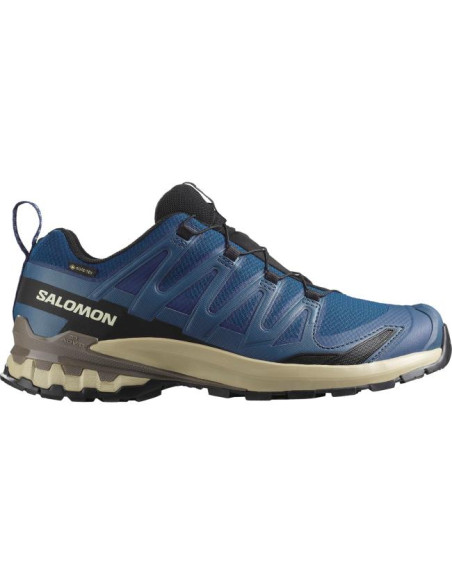 Salomon Xa Pro 3D V9 Gtx