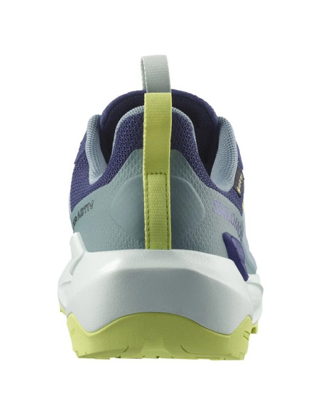 Sapatos de caminhada Salomon Elixir Activ GTX