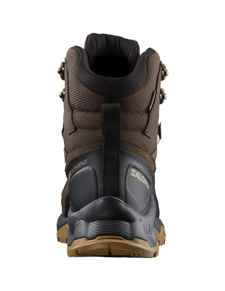 Salomon Quest Element Gtx