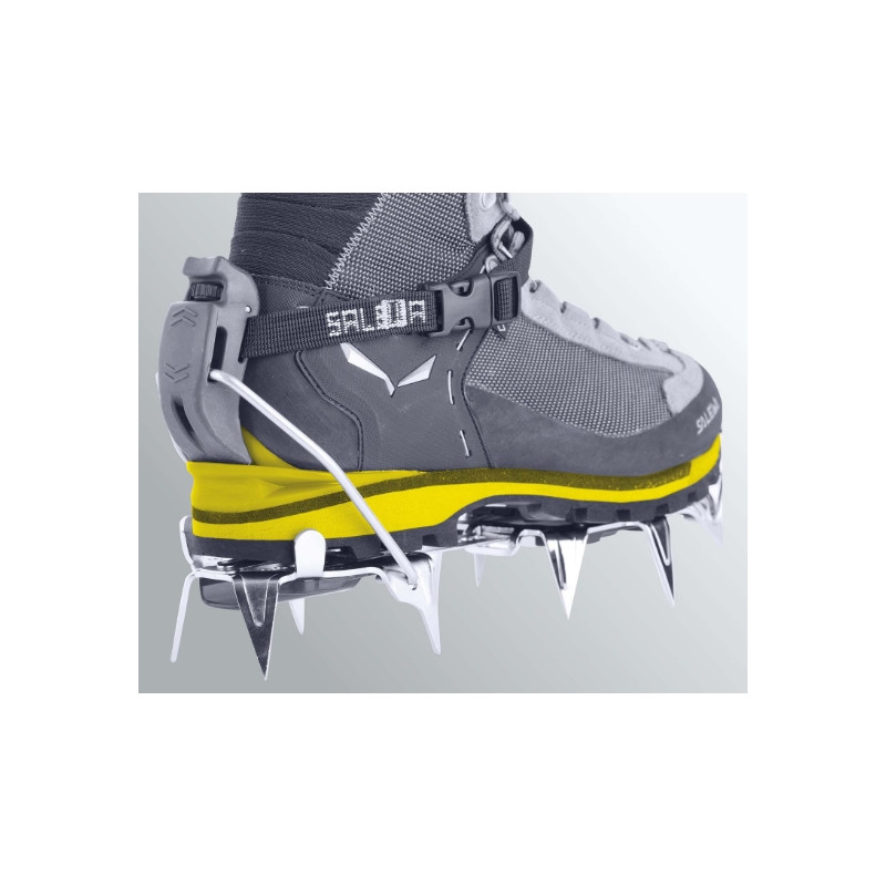 Batai Salewa Crow GTX