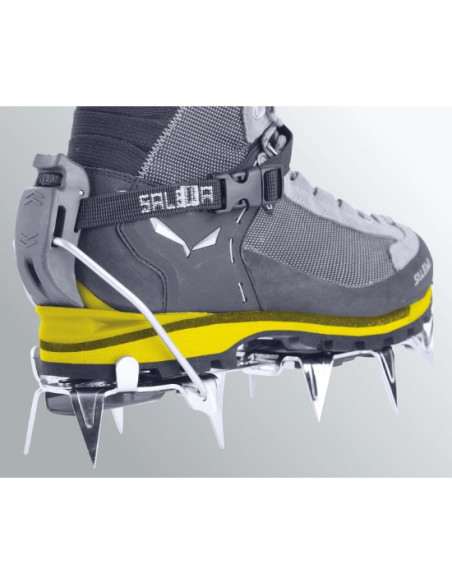 Botas Salewa Crow GTX