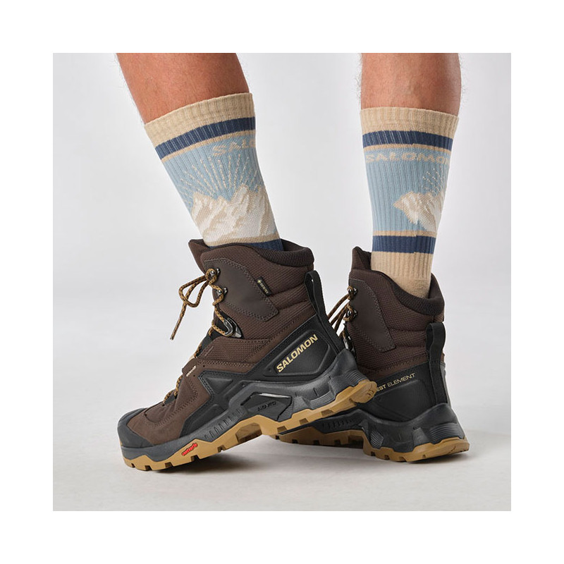 Čižmy Salomon Quest Element Gtx