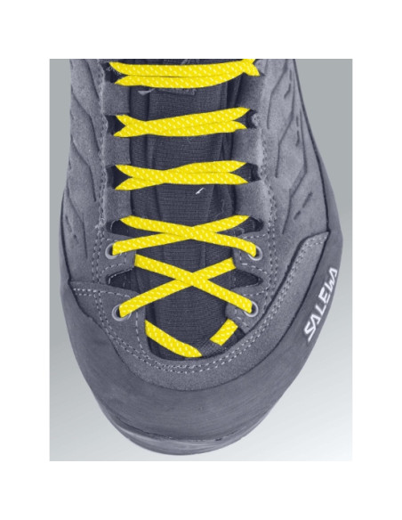 Salewa Crow GTX W