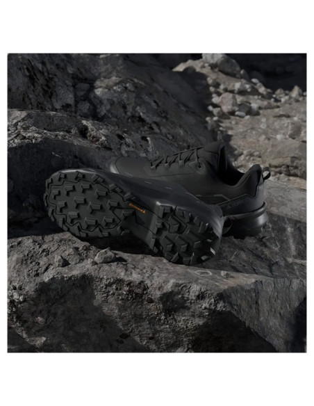 Sapatos de caminhada Adidas TERREX SKYCHASER AX5 Negro