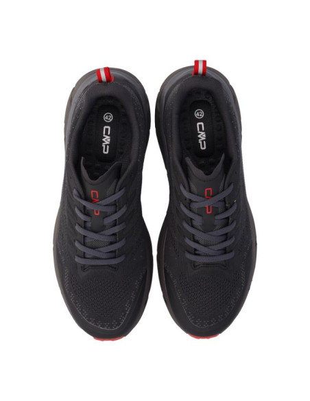 Cmp RAHMSY MULTIFUNCTIONAL WP Pioferrari