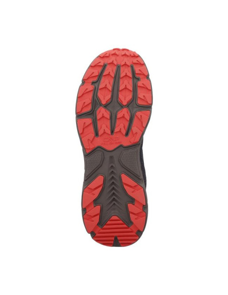 Cmp RAHMSY MULTIFUNCTIONAL WP Pioferrari