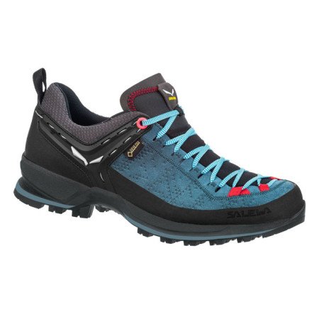 Salewa Mtn Trainer 2 GTX W