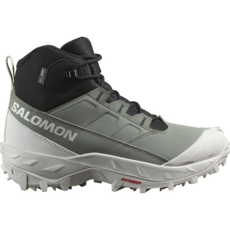 Salomon SHOES CROSSTRAK WP W Agv Gr/Black/Canar