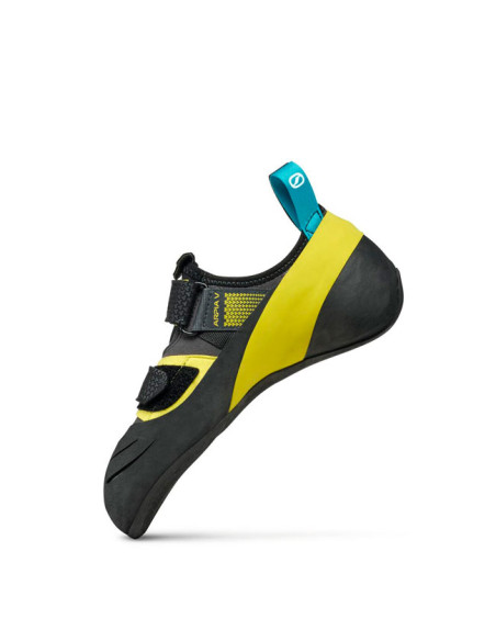 Laipiojimo batai Scarpa Arpia V