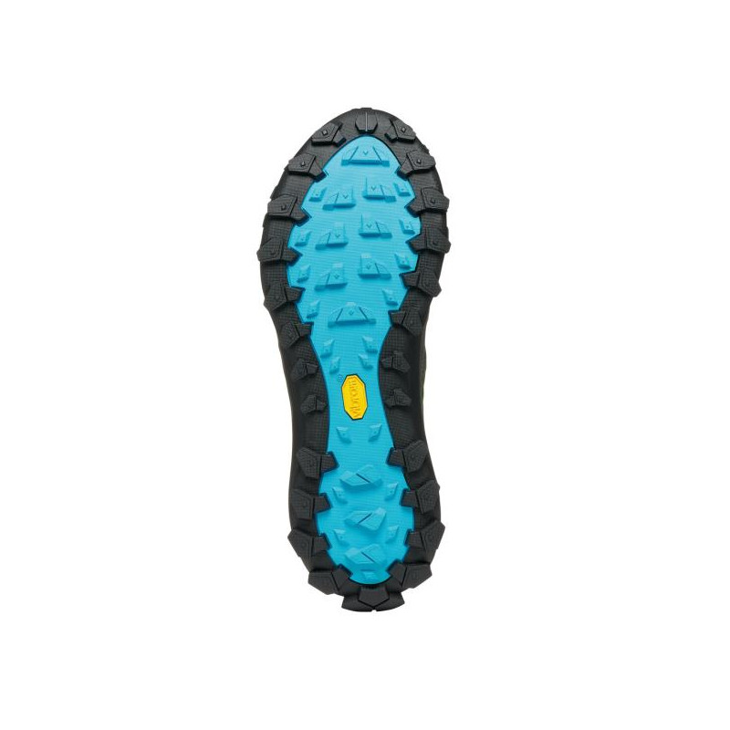 Scarpa Rove Gtx W