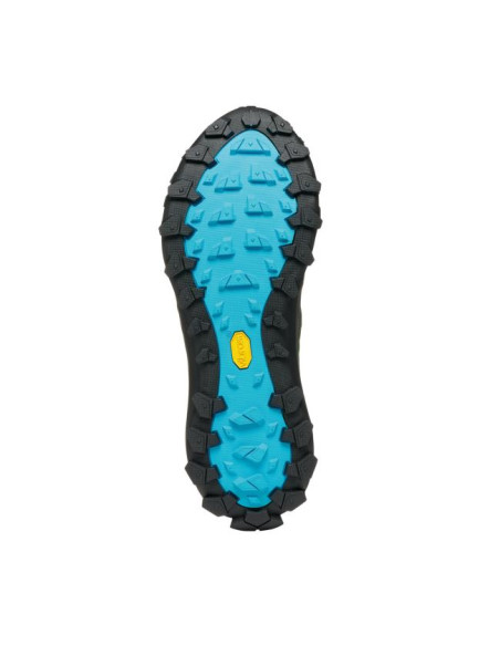Scarpa Rove Gtx W