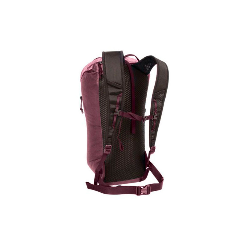 Blue Ice Dragonfly 18L