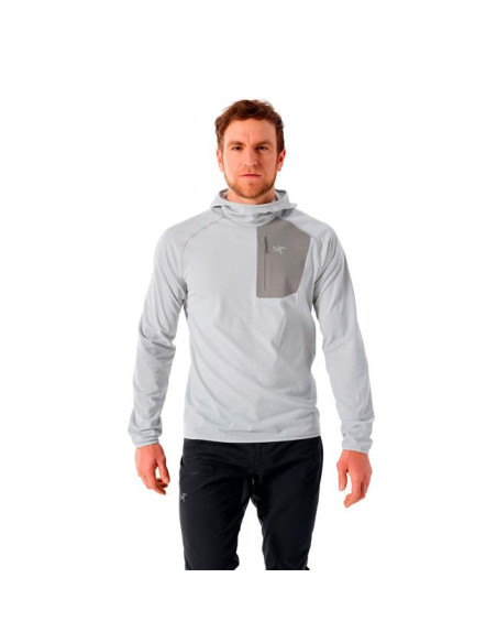 Arc'teryx Delta Hoody