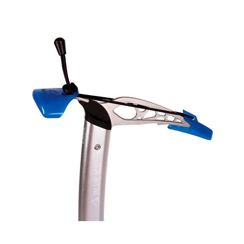 Blue Ice Hummingbird