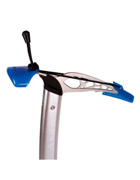 Blue Ice Hummingbird