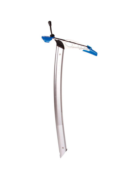 Blue Ice Hummingbird