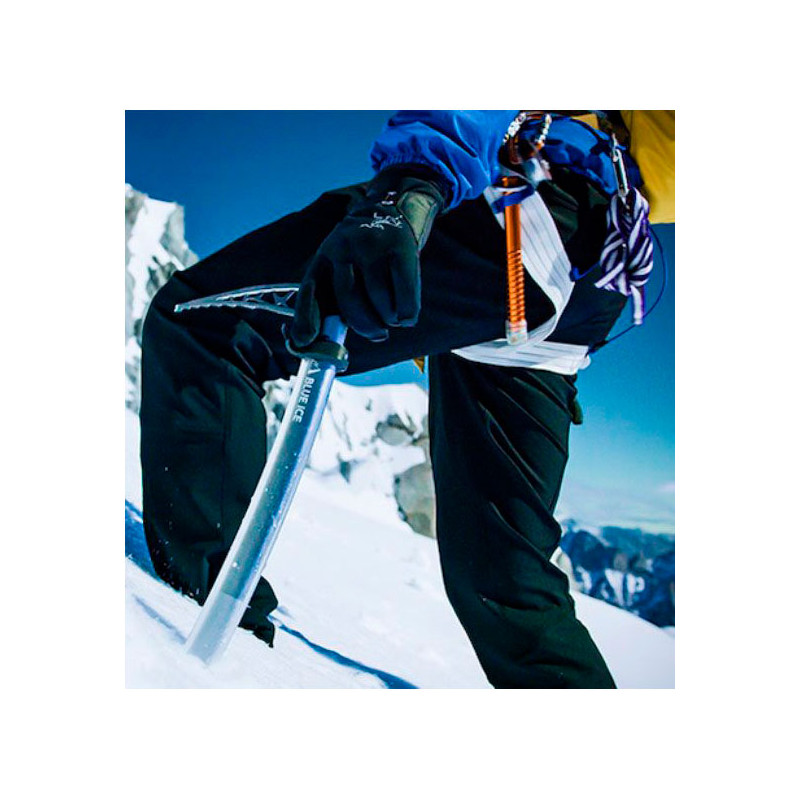 Blue Ice Hummingbird