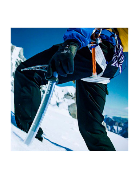 Blue Ice Hummingbird