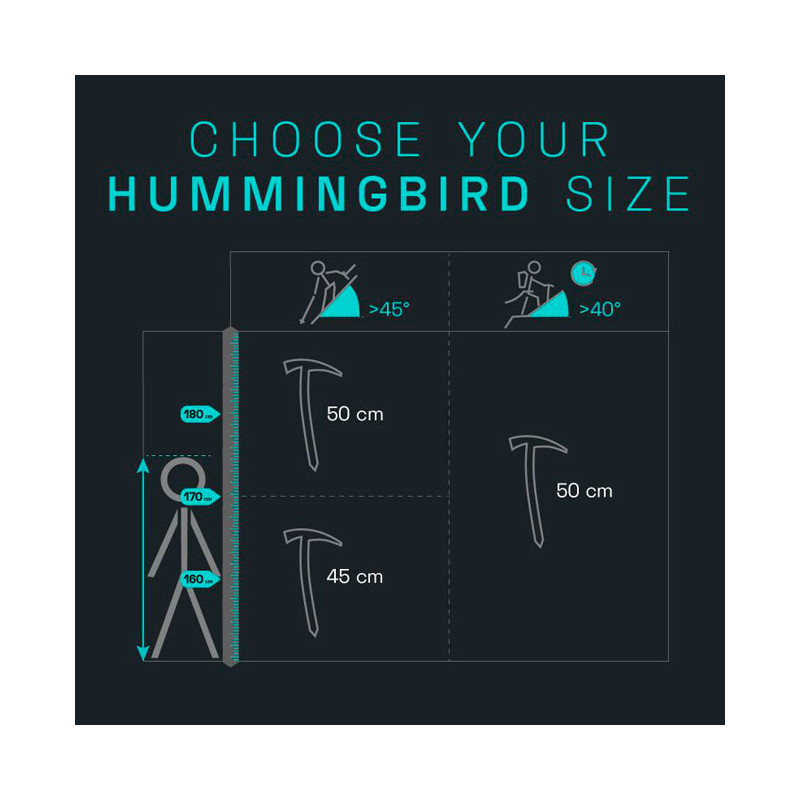 Blue Ice Hummingbird