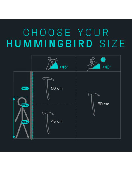 Blue Ice Hummingbird