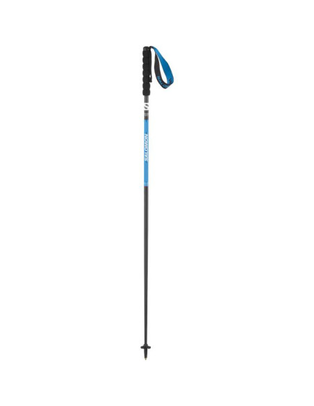 Salomon POLES PULSAR