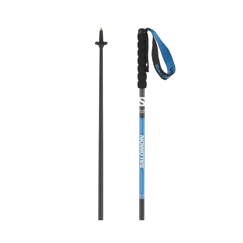 Salomon POLES PULSAR