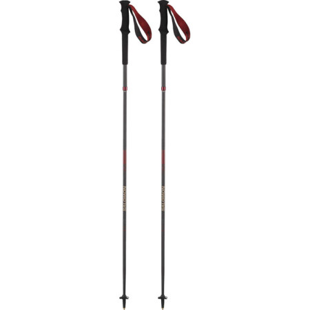 Salomon Poles Quest Carbon Foldable