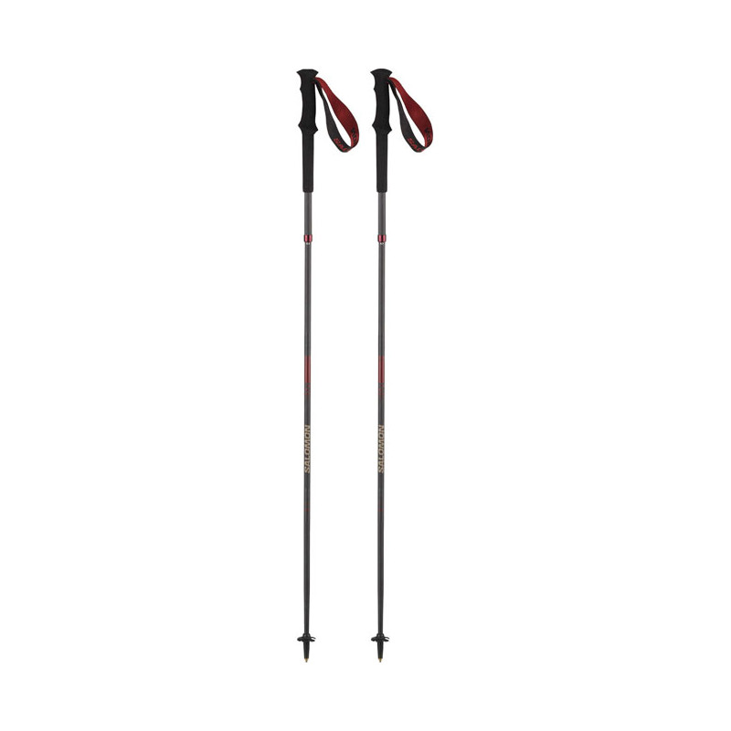 Lazdos Salomon Poles Quest Carbon Foldable