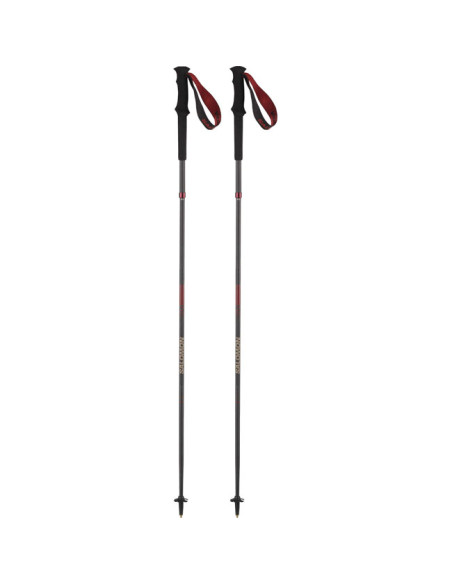 Bastones Salomon Poles Quest Carbon Foldable